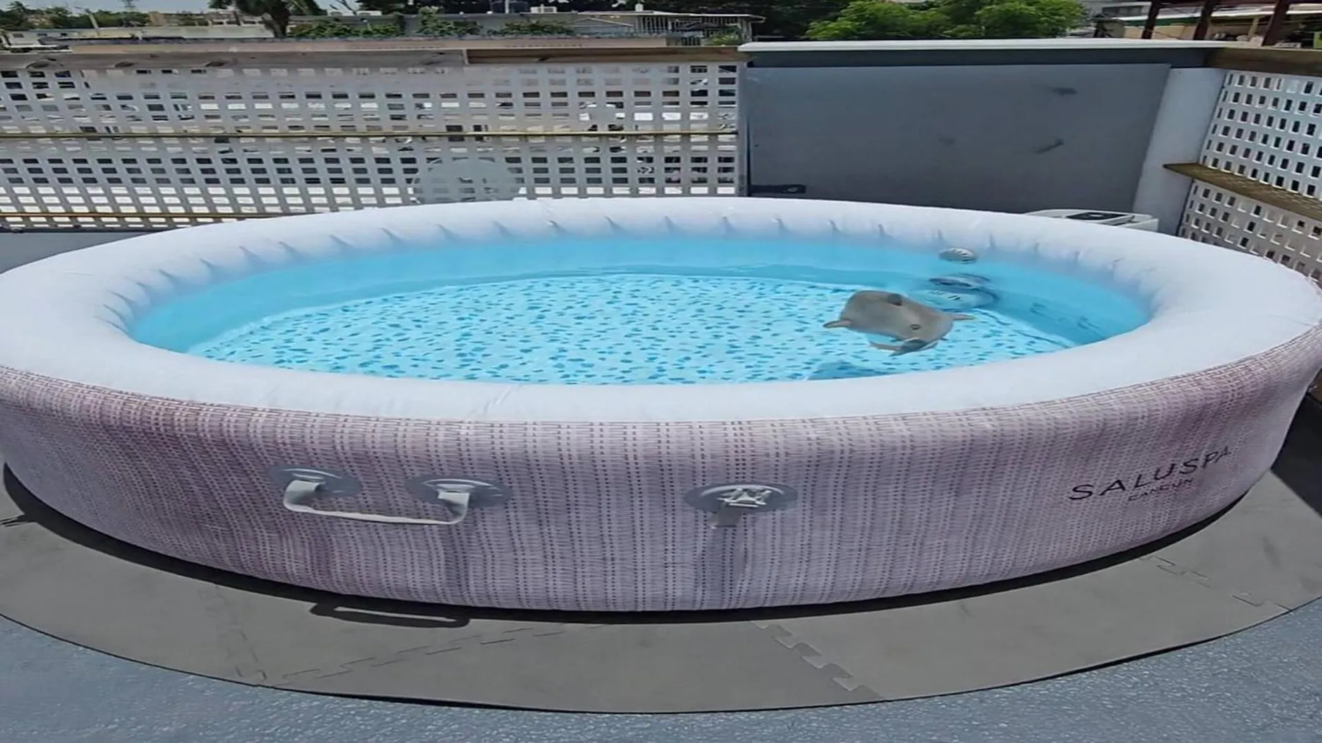 Terrace With Jacuzzi Modern 2 Lejlighed San Juan