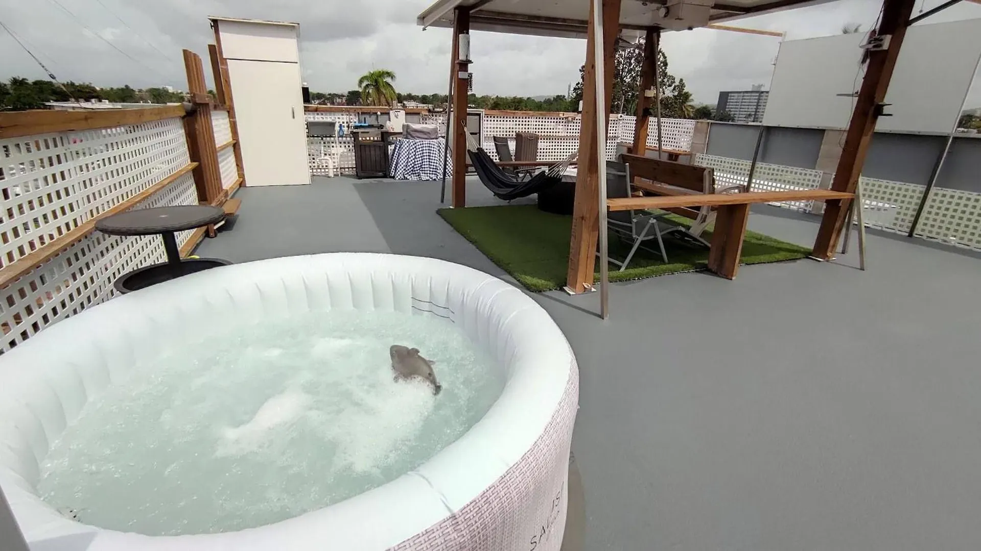 Terrace With Jacuzzi Modern 2 Lejlighed San Juan